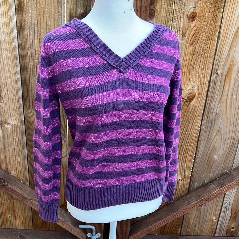 Baleno Classic Purple V-Neck Sweater with Stripes